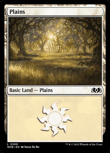 10x plains basic - 10x, lands