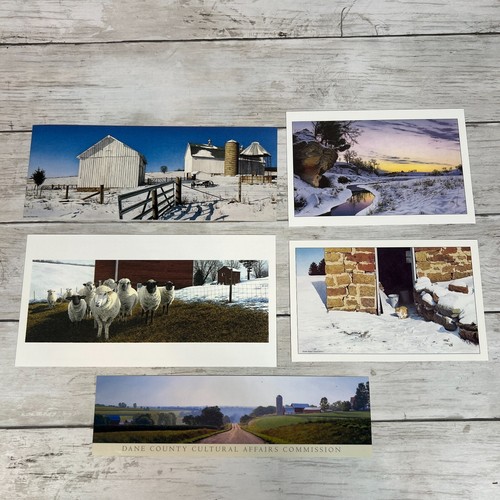 Steven kozar prints postcard - steven,
