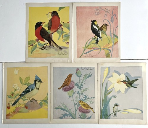 Lot 1931 fern - 1931,