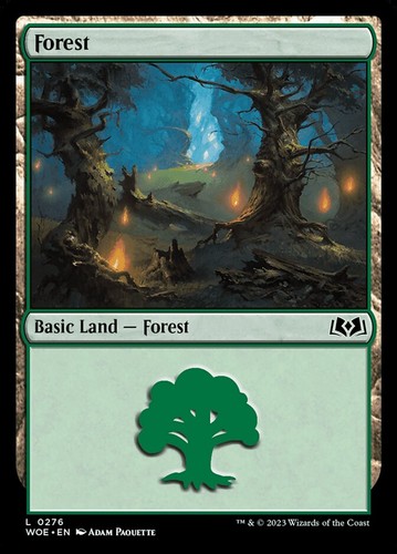 10x forest basic lands wilds - basic,